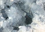 Celestine (Celestite) Crystal Geode - Madagascar #64828-2